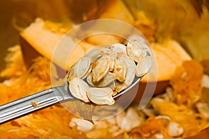 Pumpkin seeds photo