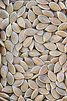 Pumpkin seeds