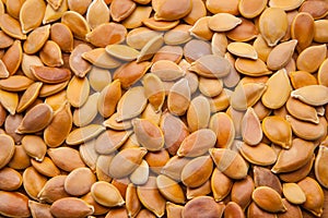 Pumpkin seeds