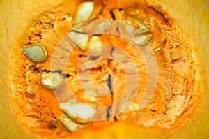 Pumpkin seeds photo