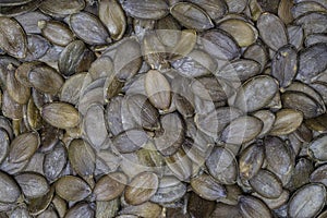 Pumpkin seeds close up detail