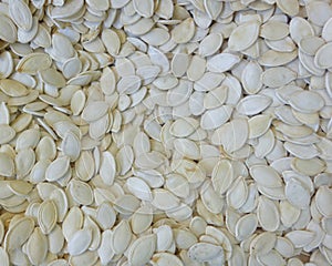 Pumpkin seeds closeup