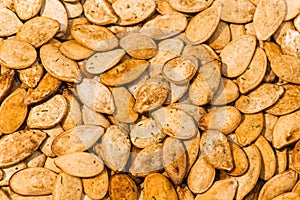 Pumpkin Seeds