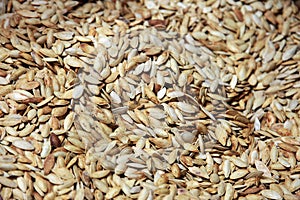 Pumpkin seeds