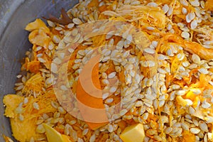 Pumpkin Seeds and Innards photo