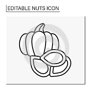 Pumpkin seeds line icon