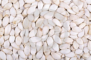 Pumpkin seeds