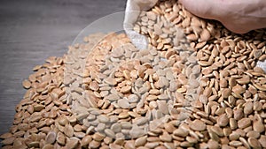 Pumpkin seeds are sorted by hand.