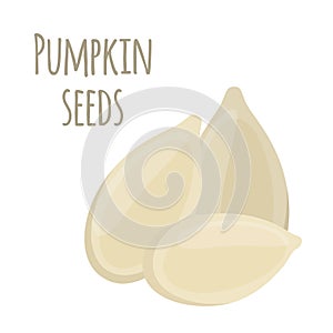 Pumpkin seeds, vegetarian organic food. Nutrition label. Cartoon flat style.