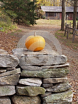 Pumpkin Sentinel