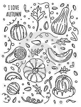 Pumpkin set collection with wording in hand drawn style for autumn concept in different shapes in black and white color isolated