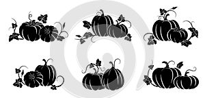 Pumpkin. Set of silhouettes of different pumpkins. Vector illustration