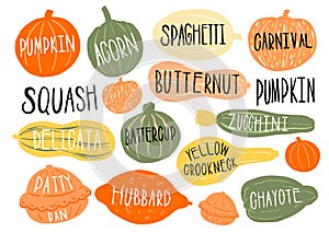 Pumpkin set type name collection.Varieties shape and color.Collection hand drawn element food