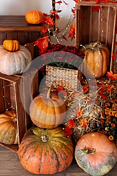 Pumpkin shop. Pumpkins in baskets and boxes. Many different pumpkins for sale. Concept of autumn, harvest and