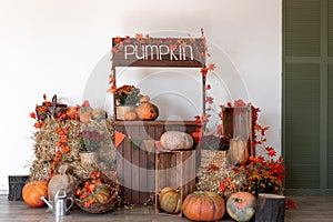 Pumpkin shop. Pumpkins in baskets and boxes. Many different pumpkins for sale. Concept of autumn, harvest and