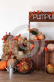 Pumpkin shop. Pumpkins in baskets and boxes. Many different pumpkins for sale. Concept of autumn, harvest and