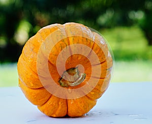 Pumpkin is a sign of Halloween day