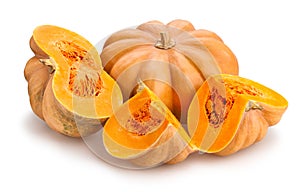 Zucca 