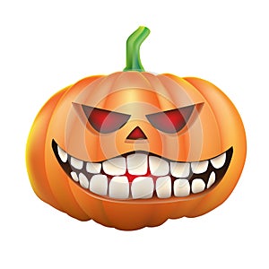 Pumpkin sneer on white background