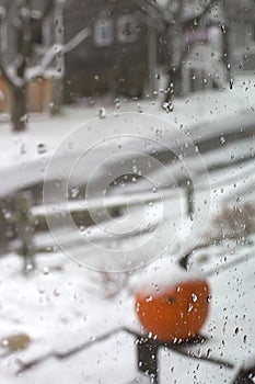 Pumpkin in the Snow in the Country