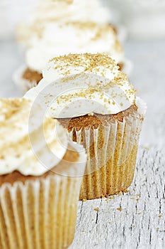 Pumpkin Spice Cupcake with Cream Cheese Icing