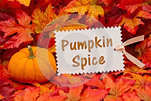 Pumpkin spice message