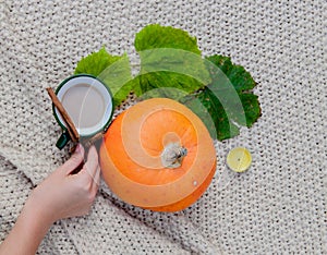 Pumpkin spiced coffee with small pumpkin the coffee in a white mug with saucer and a cinnamon stick on a gray wooden background. H