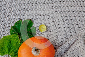 Pumpkin spiced coffee with small pumpkin the coffee in a white mug with saucer and a cinnamon stick on a gray wooden background. H