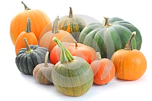 Pumpkin and squash collection