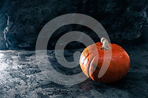 Pumpkin squash on the dark black blue textured copy space background