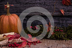 Pumpkin, Squash. Happy Thanksgiving Day Background. Autumn Thanksgiving Pumpkins over wooden background, still-life. Beautiful Hol