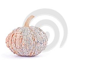 pumpkin squash slices with seeds on white background healthy kabocha Vegetable food isolated