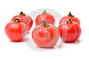 Pumpkin on a Stick, an ornamental eggplant