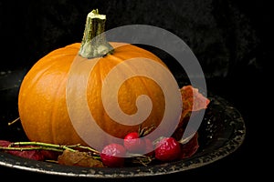 Pumpkin still life