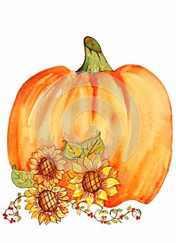 Pumpkin With Sunflowers Watercolor