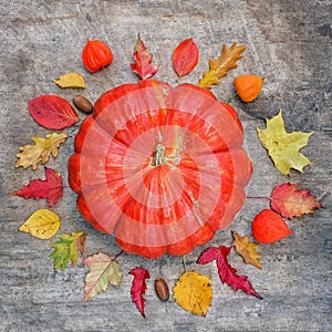 Pumpkin surrounded by autumn leaves. Fall concept. Flatly. Square.
