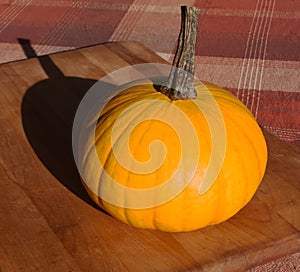 A pumpkin on a table in the sun