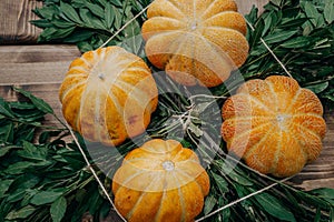 Pumpkin thanksgiving background - orange pumpkins over green leaves and wooden background