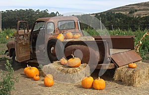 Pumpkin Truck