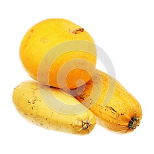 Pumpkin and two zucchini