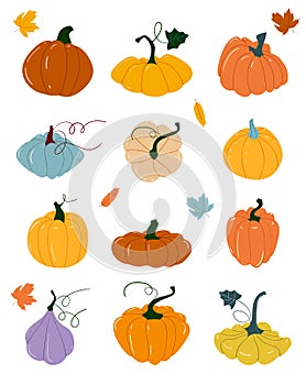 Pumpkin of various shapes and colors. Thanksgiving and Halloween Elements. Set of cartoon elements of autumn. Orange vegetable.
