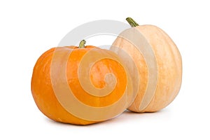Pumpkin vegetable