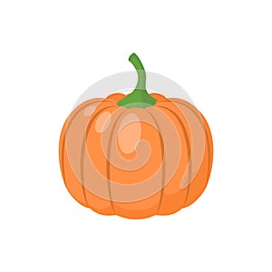 Pumpkin vegetable clipart simple icon. Pumpkin cartoon.