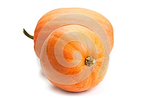 Pumpkin vegetable closeup