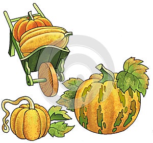 Pumpkin vegetable fruit drawing plant wheelbarrow