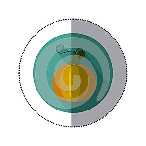 pumpkin vegetable icon image