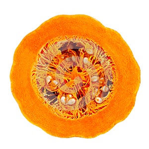 Pumpkin vegetable on white background