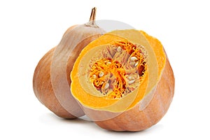 Pumpkin vegetable on white background