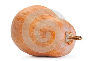 Pumpkin vegetable on white background