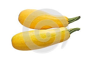 Pumpkin, vegetable, yellow pumpkin, pumpkin on white background